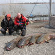 Запрет на рыбную ловлю 2009 тяжелая бывает