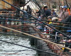 Форум костромских рыболовов  вертикально