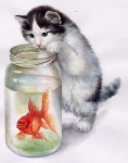 Кошка рыболов цена  метров